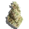 Gush Mints Strain