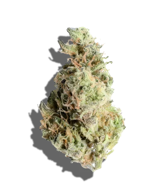 Gush Mints Strain
