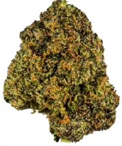 Rainbow strain