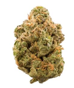 Kosher Strain