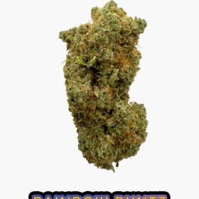 UK Rainbow Skittlez