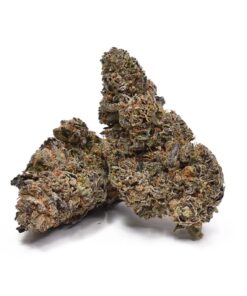 black runtz strain