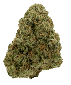 Blue Cheese Strain