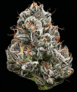 Black Cherry Gushers