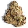 Gelato 33
