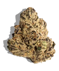 Gelato 33