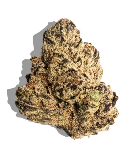 Gelato 33