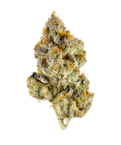 candy rain strain