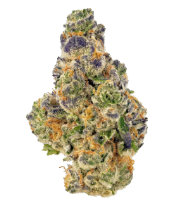 Gumbo Strain