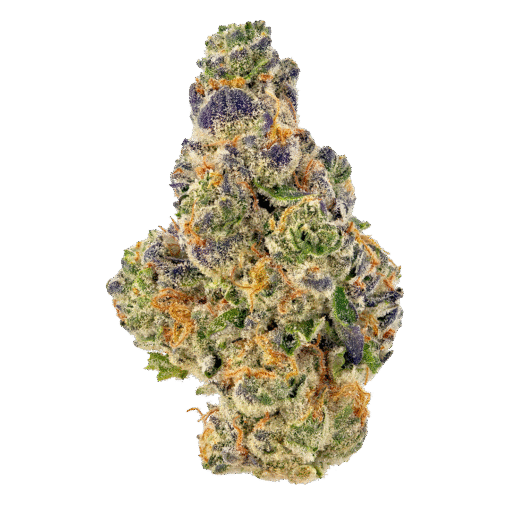 Gumbo Strain
