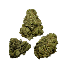 blue cheese strain