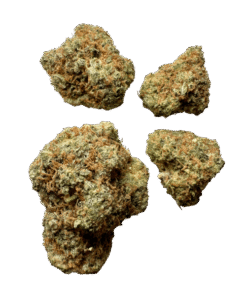 amnesia haze strains