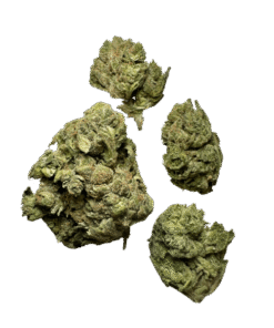cheese weed