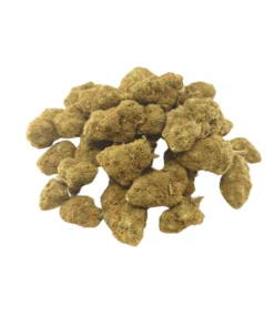 bubble gum gelato strain